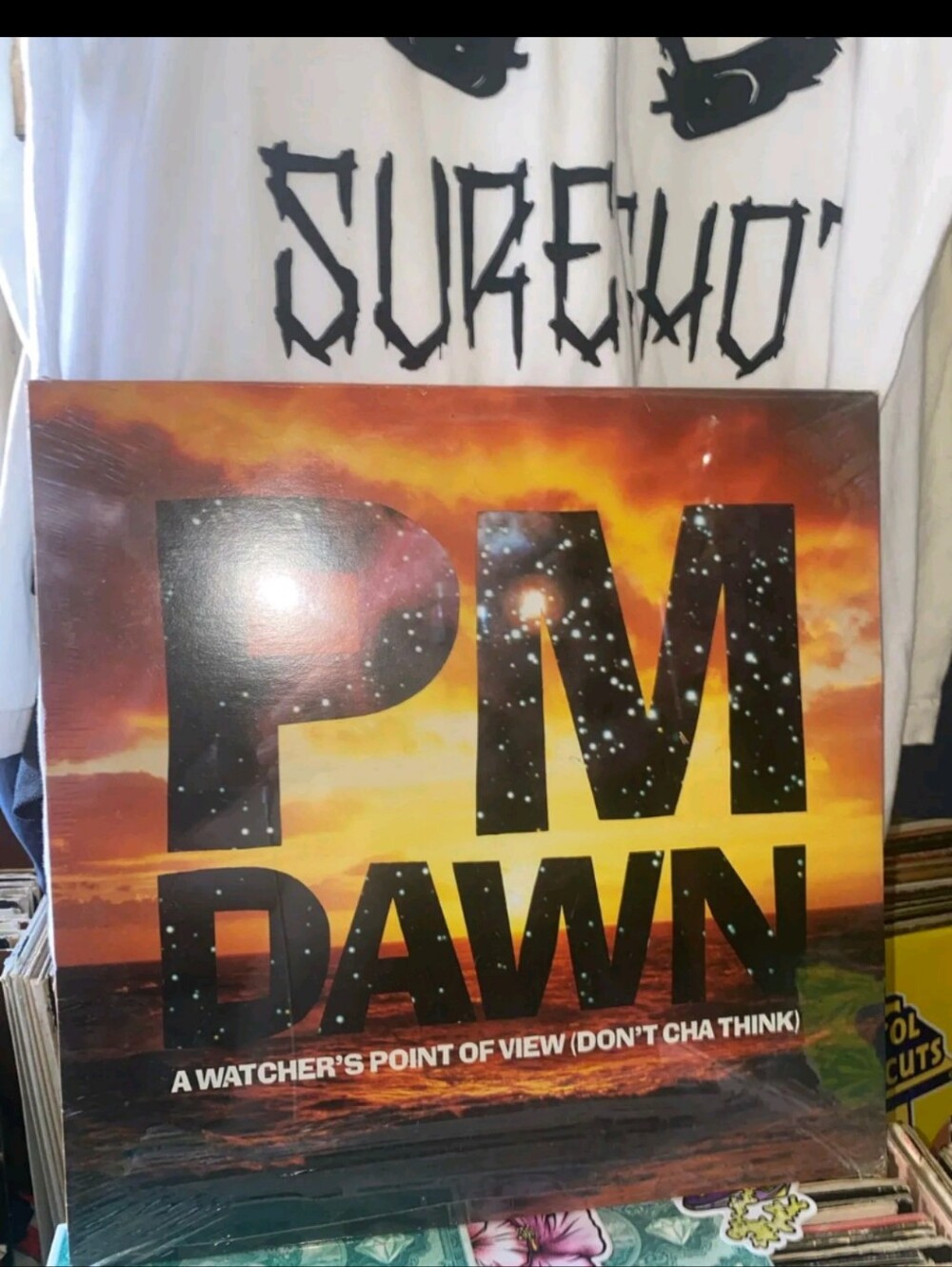 P.M. Dawn A Watcher's Point Of View Don't Cha Think (12")Media: Mint (M) Absolu